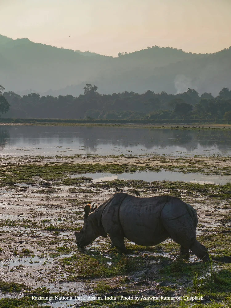 One Horned Rhino, Water Hyacinth Paper Polyart Sculpture